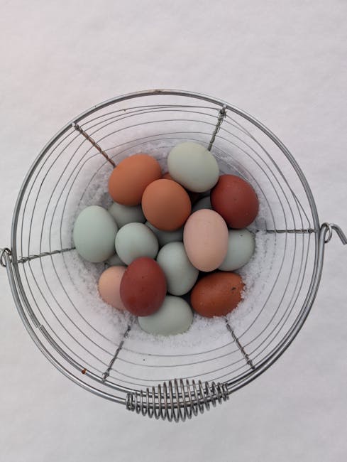 Top view of pastel and brown eggs in a wire basket placed on snow, creating a striking visual contrast.