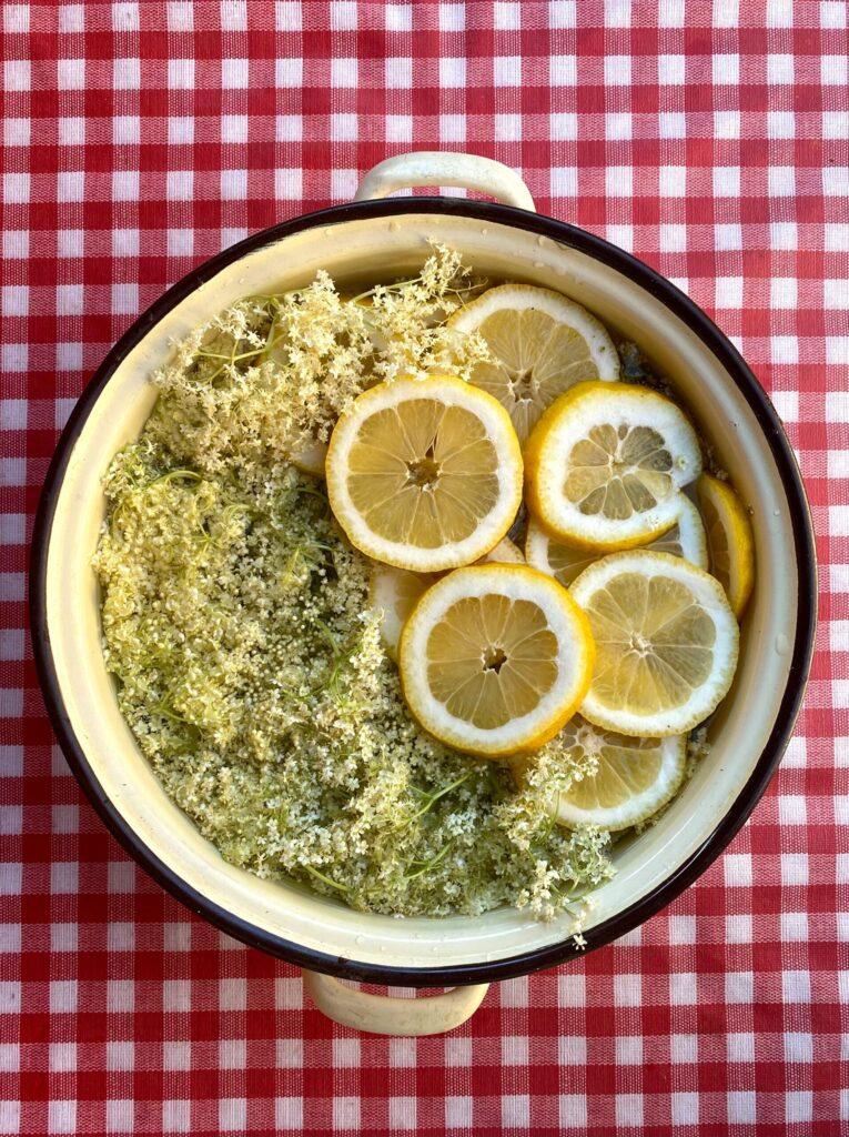 elderflower in pot