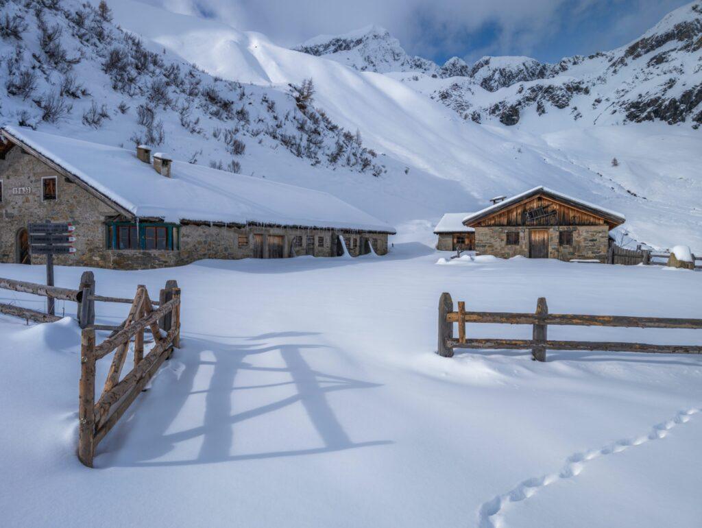 cold weather chicken farm