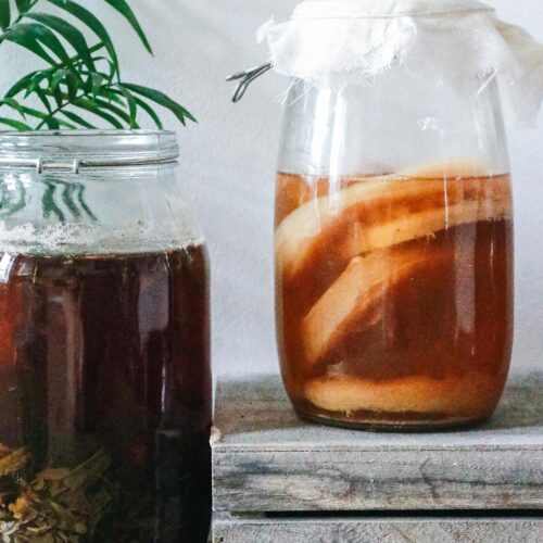 Kombucha Tea Recipe